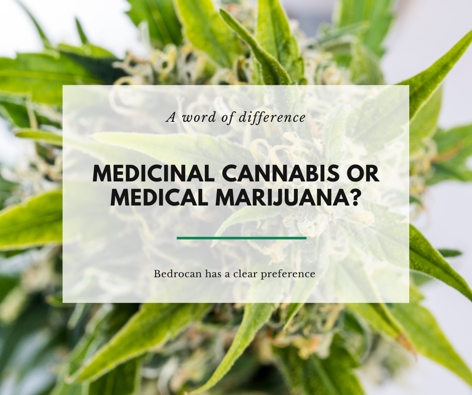 You are currently viewing Canábis ou marijuana medicinal ou médica?