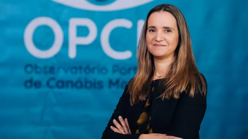 You are currently viewing Canábis medicinal. “O OPCM não vai desistir e vai continuar a lutar pelos doentes”